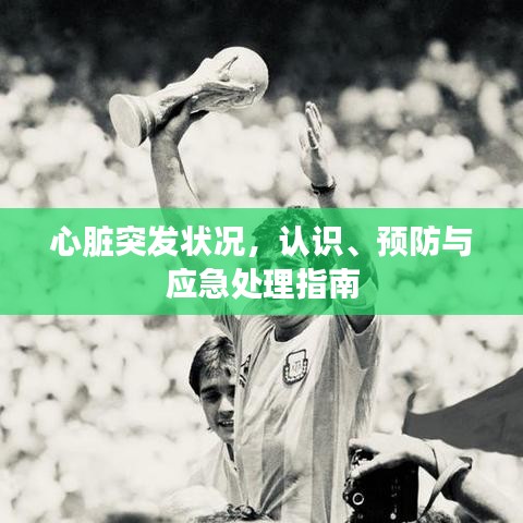 心臟突發狀況，認識、預防與應急處理指南