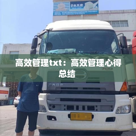 高效管理txt:高效管理心得總結(jié)