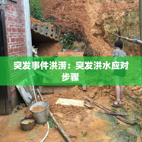 突發事件洪澇:突發洪水應對步驟