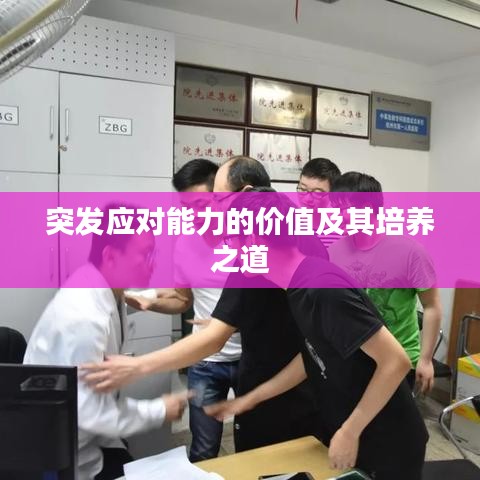 突發(fā)應對能力的價值及其培養(yǎng)之道