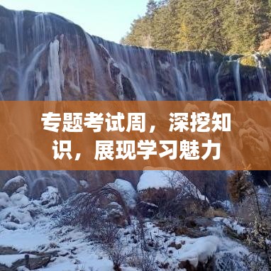 專題考試周,深挖知識,展現學習魅力