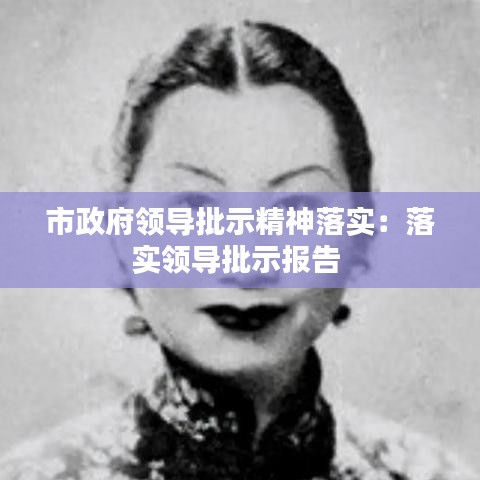 市政府領導批示精神落實：落實領導批示報告 