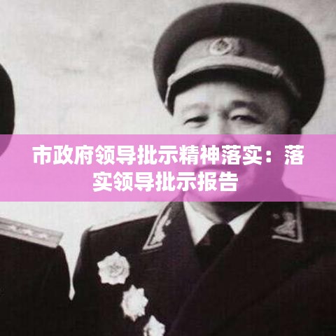 市政府領導批示精神落實:落實領導批示報告