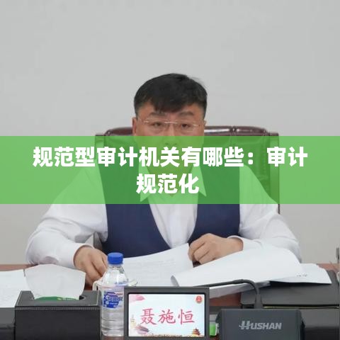 規范型審計機關有哪些：審計規范化 
