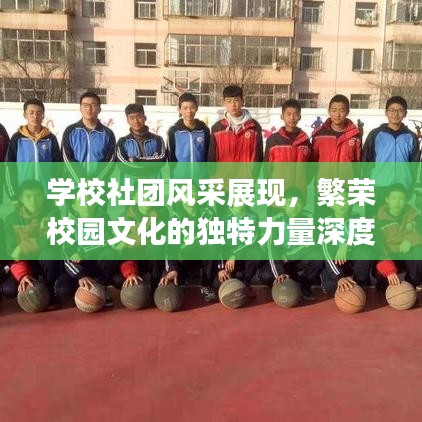 學校社團風采展現,繁榮校園文化的獨特力量深度報道