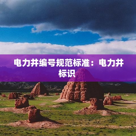 電力井編號規范標準:電力井標識