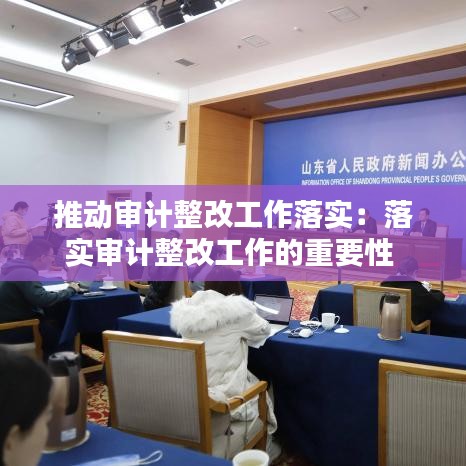 推動審計整改工作落實：落實審計整改工作的重要性 