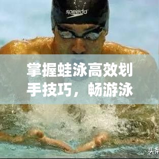 掌握蛙泳高效劃手技巧，暢游泳池無界限