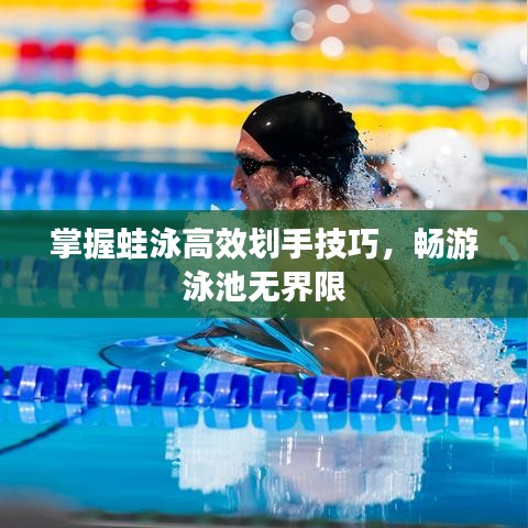 掌握蛙泳高效劃手技巧,暢游泳池無界限