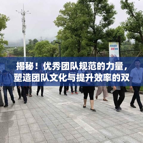 揭秘！優秀團隊規范的力量，塑造團隊文化與提升效率的雙重秘訣