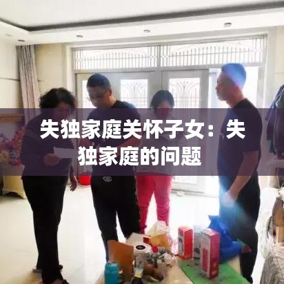失獨家庭關(guān)懷子女:失獨家庭的問題