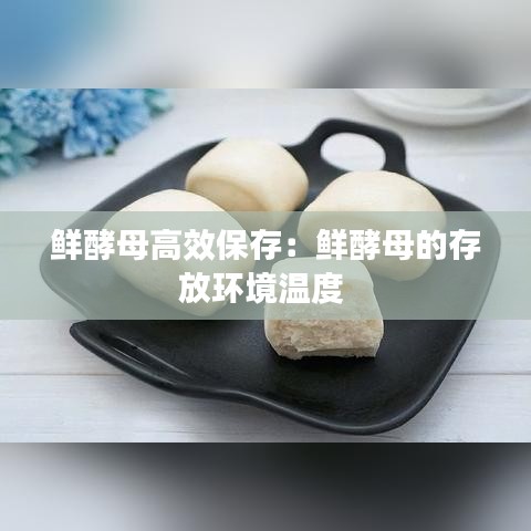 鮮酵母高效保存：鮮酵母的存放環境溫度 