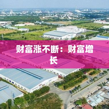 財(cái)富漲不斷:財(cái)富增長