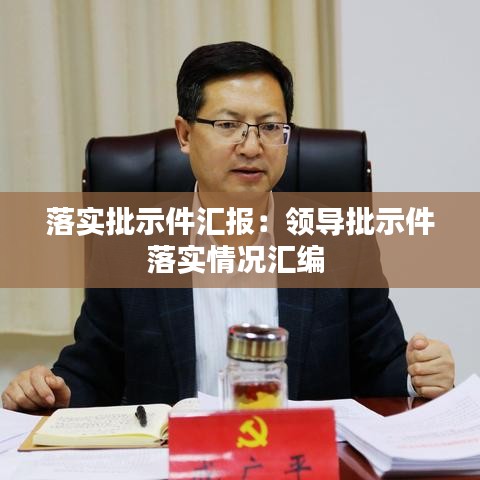落實批示件匯報:領(lǐng)導批示件落實情況匯編