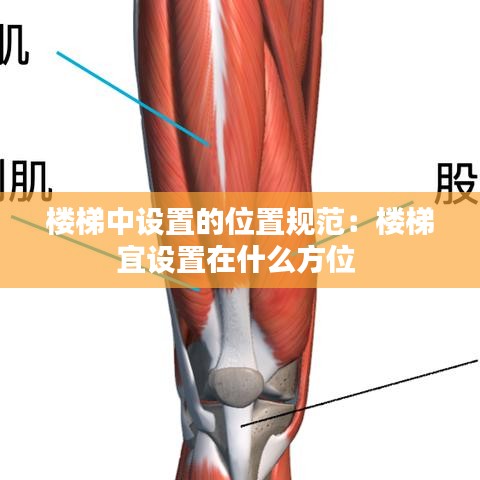樓梯中設置的位置規范:樓梯宜設置在什么方位