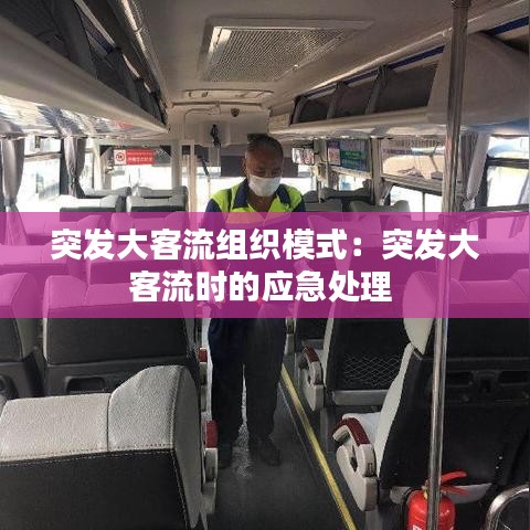 突發大客流組織模式:突發大客流時的應急處理