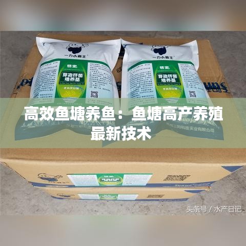 高效魚塘養魚:魚塘高產養殖最新技術