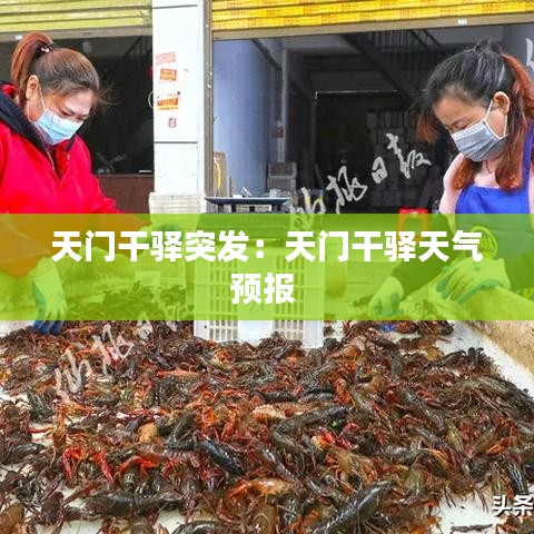 天門干驛突發:天門干驛天氣預報