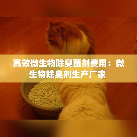 高效微生物除臭菌劑費用:微生物除臭劑生產廠家