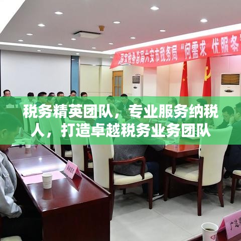 稅務精英團隊，專業服務納稅人，打造卓越稅務業務團隊