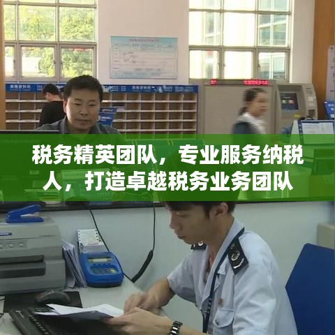 稅務精英團隊,專業服務納稅人,打造卓越稅務業務團隊