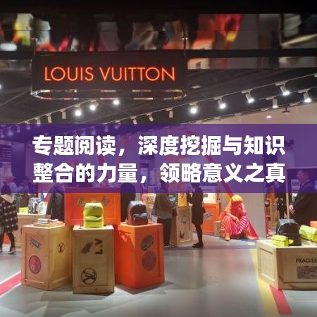 專題閱讀,深度挖掘與知識(shí)整合的力量,領(lǐng)略意義之真諦