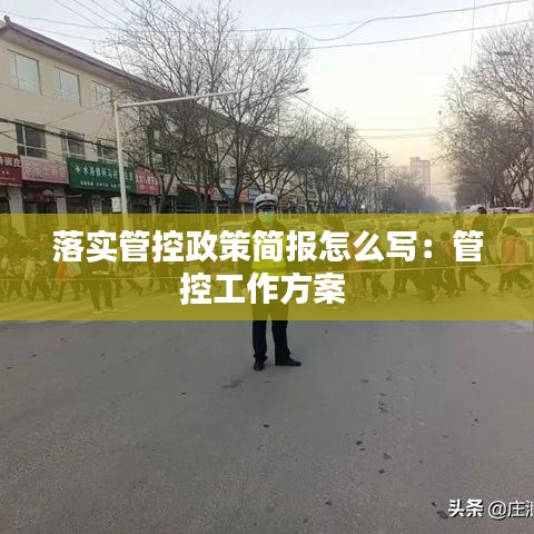 落實管控政策簡報怎么寫:管控工作方案