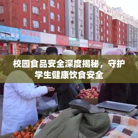 校園食品安全深度揭秘,守護(hù)學(xué)生健康飲食安全