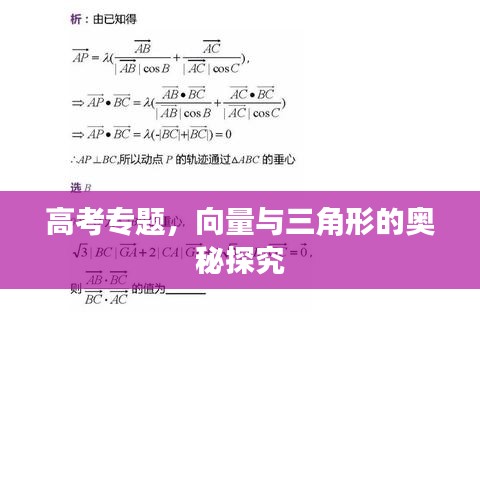 高考專題,向量與三角形的奧秘探究