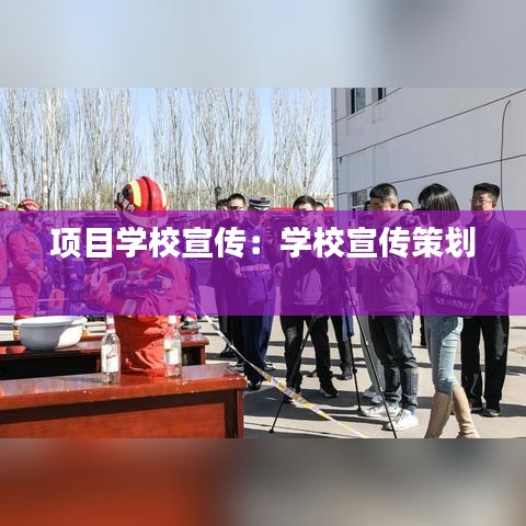項目學校宣傳:學校宣傳策劃
