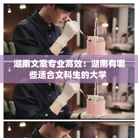 湖南文案專業(yè)高效:湖南有哪些適合文科生的大學