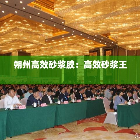 朔州高效砂漿膠：高效砂漿王 