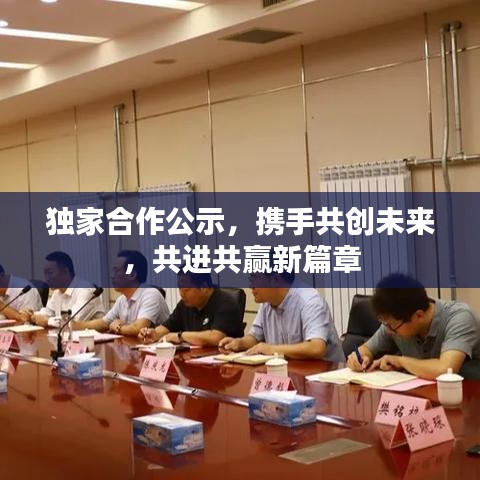 獨家合作公示，攜手共創未來，共進共贏新篇章