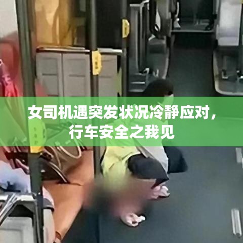 女司機(jī)遇突發(fā)狀況冷靜應(yīng)對(duì),行車安全之我見