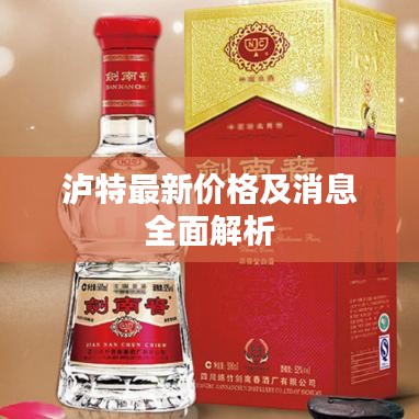 瀘特最新價格及消息全面解析