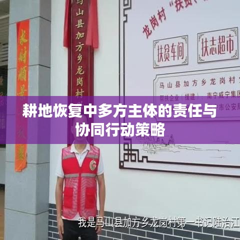 耕地恢復中多方主體的責任與協同行動策略