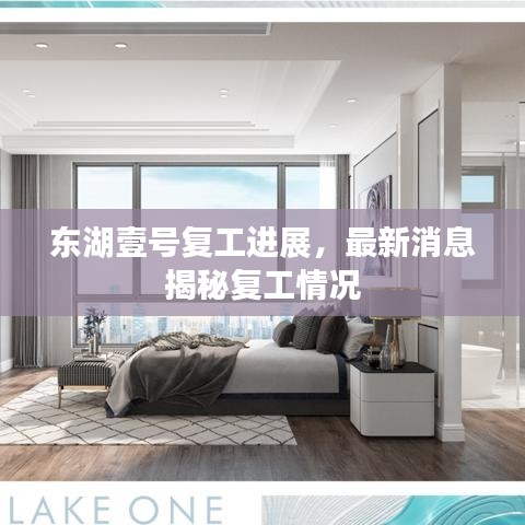 東湖壹號復工進展,最新消息揭秘復工情況
