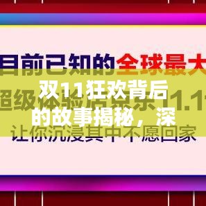 雙11狂歡背后的故事揭秘，深度報(bào)道，探尋購物盛宴的真相