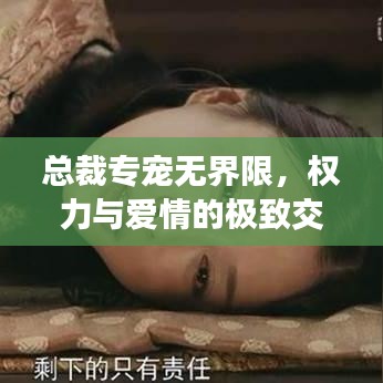 總裁專寵無界限,權力與愛情的極致交融