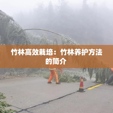 竹林高效栽培:竹林養(yǎng)護方法的簡介