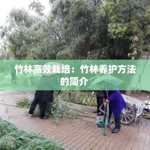 竹林高效栽培:竹林養(yǎng)護方法的簡介