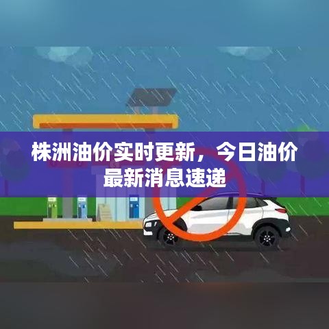 株洲油價實時更新，今日油價最新消息速遞