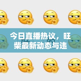 今日直播熱議,旺柴最新動(dòng)態(tài)與違法犯罪問(wèn)題探討深度解析