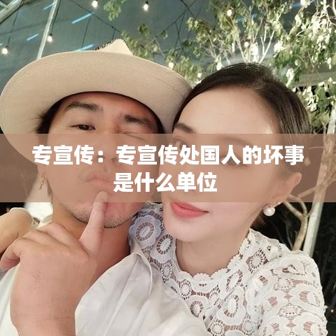 專宣傳:專宣傳處國人的壞事是什么單位