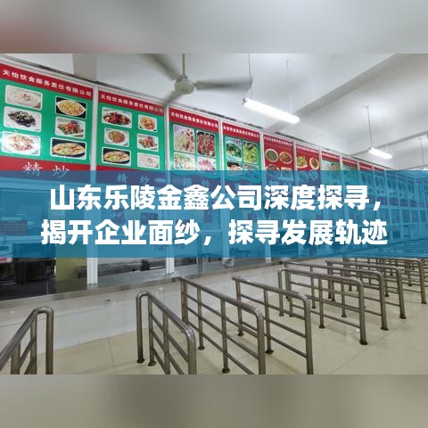 山東樂陵金鑫公司深度探尋，揭開企業(yè)面紗，探尋發(fā)展軌跡