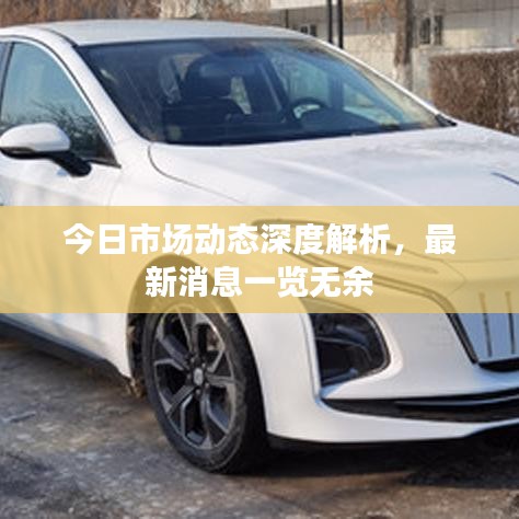 今日市場動態(tài)深度解析,最新消息一覽無余