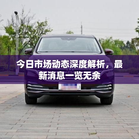 今日市場動態(tài)深度解析,最新消息一覽無余