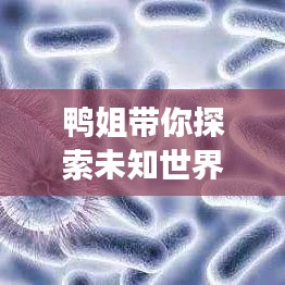 鴨姐帶你探索未知世界的精彩旅游攻略!