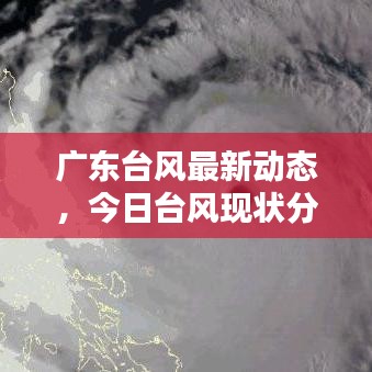 廣東臺風最新動態,今日臺風現狀分析