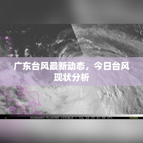 廣東臺風最新動態，今日臺風現狀分析